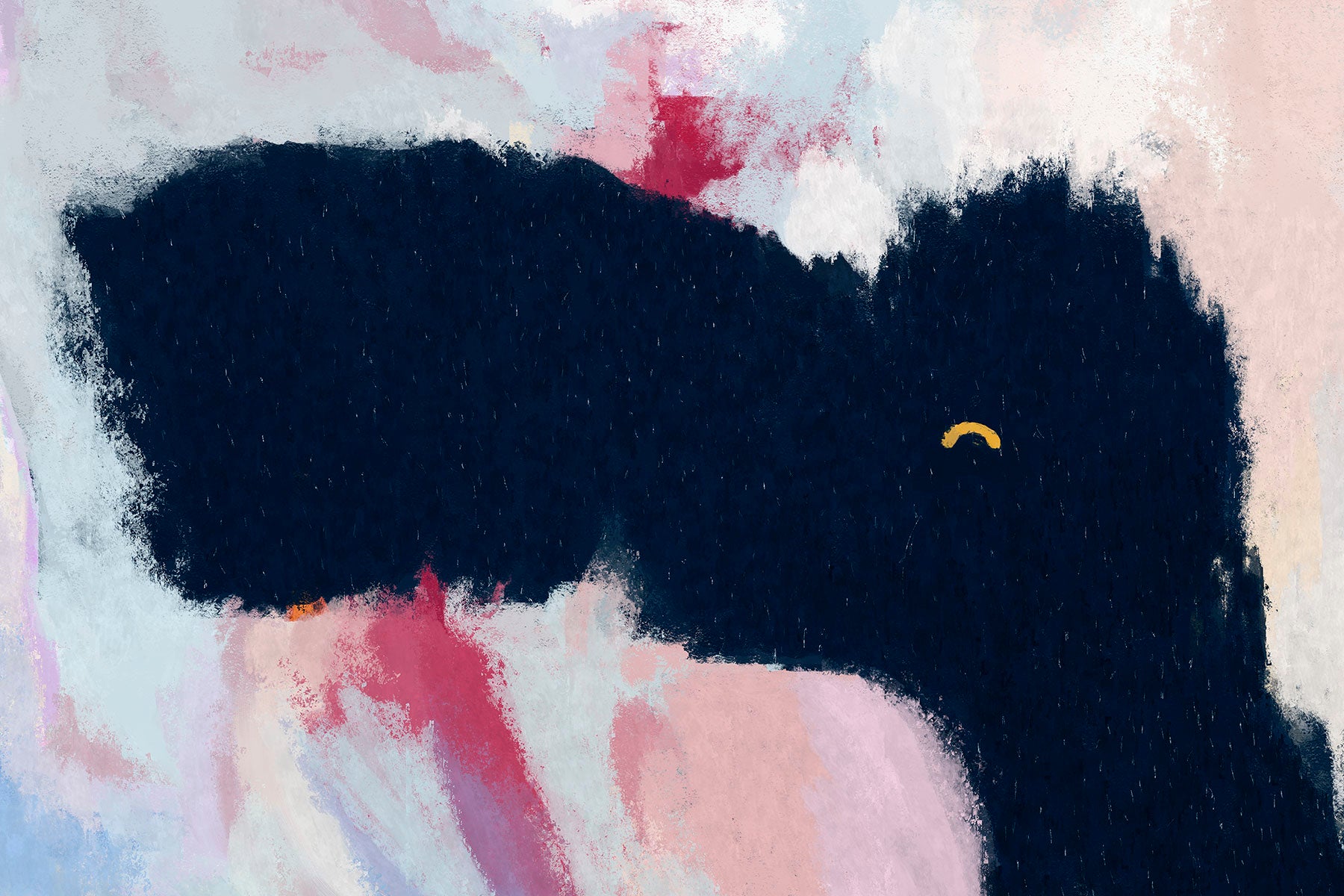 Detail image of a night sky with stars