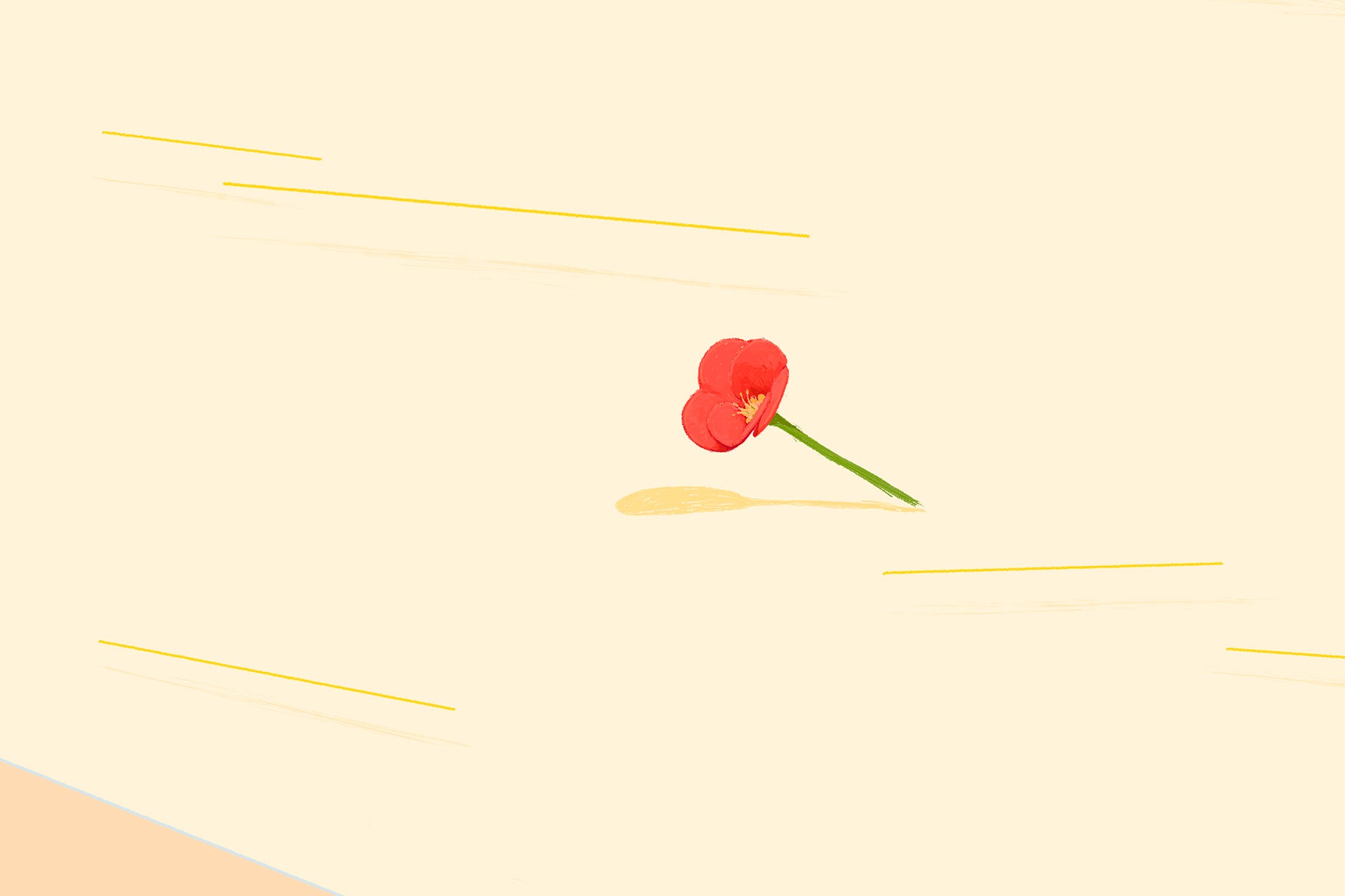 Detail image of a flower